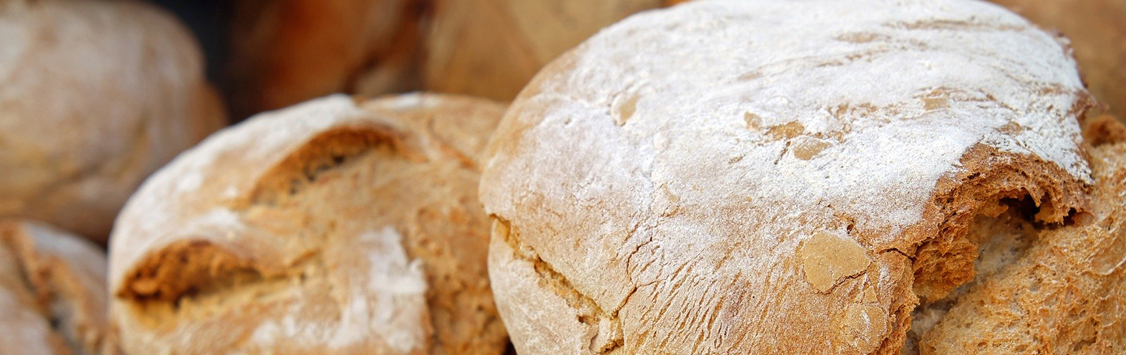 imagen de panes recién horneados